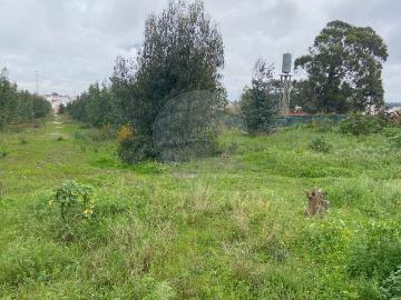 Terreno à venda em Vale de Milhaços