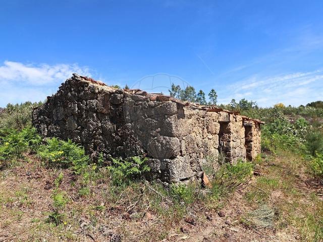 Terreno à venda em Vale de Prazeres e Mata da Rainha, Fundão RE/MAX Portugal