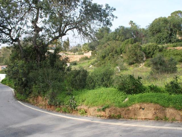Terreno à venda em Vale Del Rei