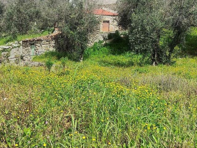 Terreno à venda em Vale Formoso e Aldeia do Souto, Covilhã RE/MAX Portugal