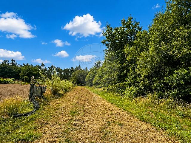 Terreno à venda em Valença, Cristelo Covo e Arão, Valença RE/MAX Portugal