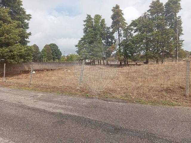 Terreno à venda em Valença, Cristelo Covo e Arão, Valença RE/MAX Portugal