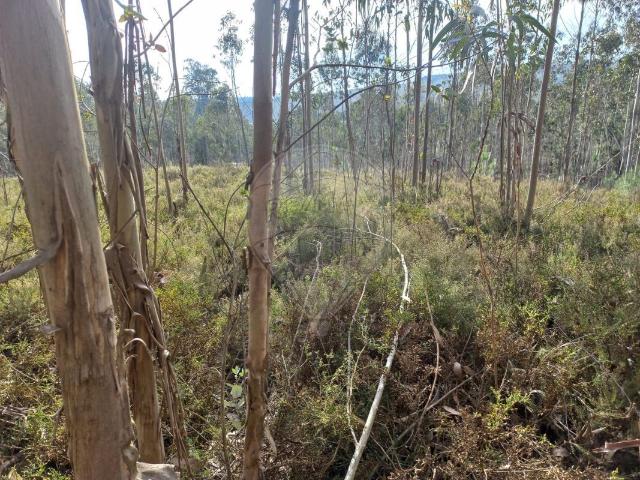 Terreno à venda em Valongo
