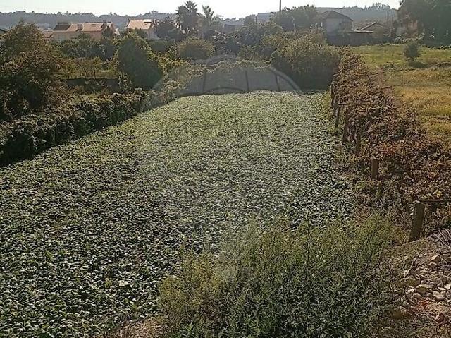 Terreno à venda em Valongo, Valongo RE/MAX Portugal
