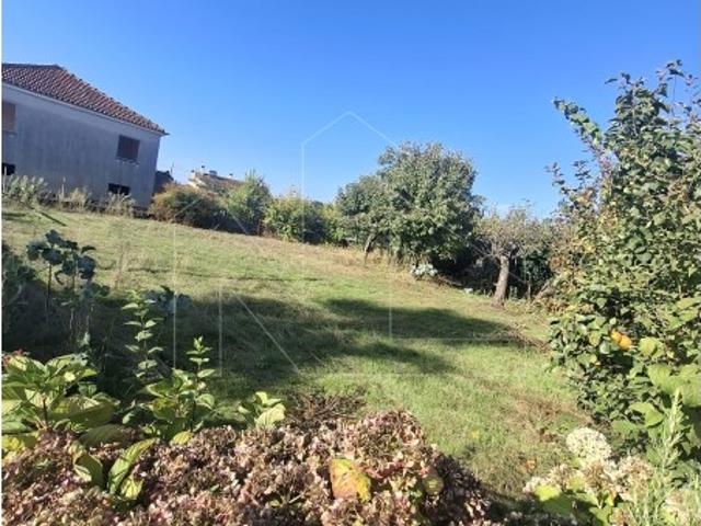 Terreno à Venda em Valongo do Vouga Águeda