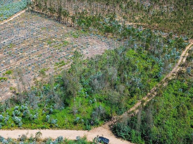 Terreno à venda em Valongo do Vouga, Águeda RE/MAX Portugal