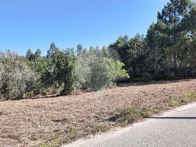 Terreno à venda em Valongo do Vouga, Águeda RE/MAX Portugal