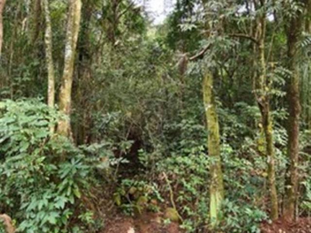 Terreno à venda em Vargem