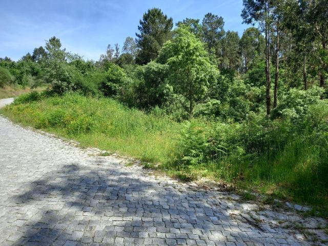 Terreno à venda em Várzea, Aliviada e Folhada, Marco de Canaveses RE/MAX Portugal