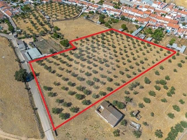 Terreno à venda em Veiros, Estremoz RE/MAX Portugal