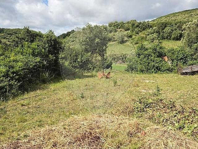 Terreno à venda em Venda do Pinheiro e Santo Estêvão das Galés, Mafra RE/MAX Portugal