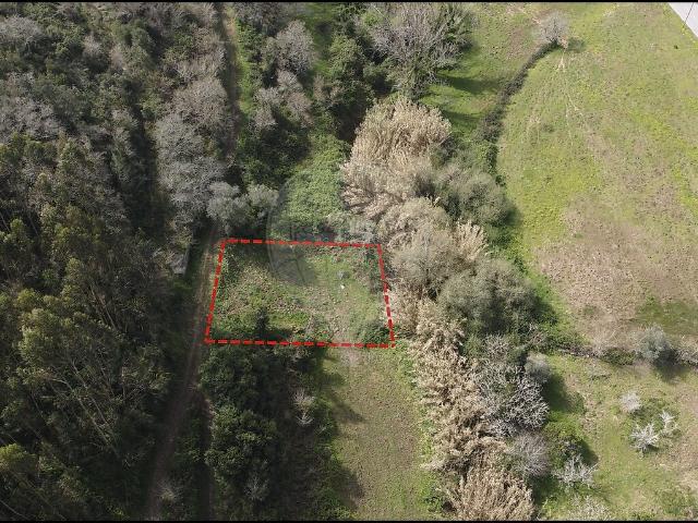 Terreno à venda em Venda do Pinheiro e Santo Estêvão das Galés, Mafra RE/MAX Portugal