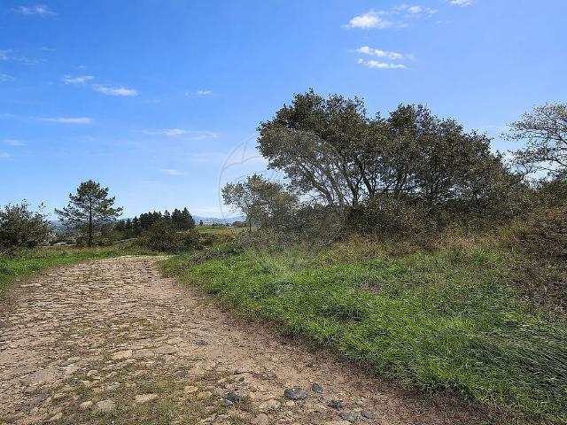 Terreno à venda em Venda do Pinheiro e Santo Estêvão das Galés, Mafra RE/MAX Portugal