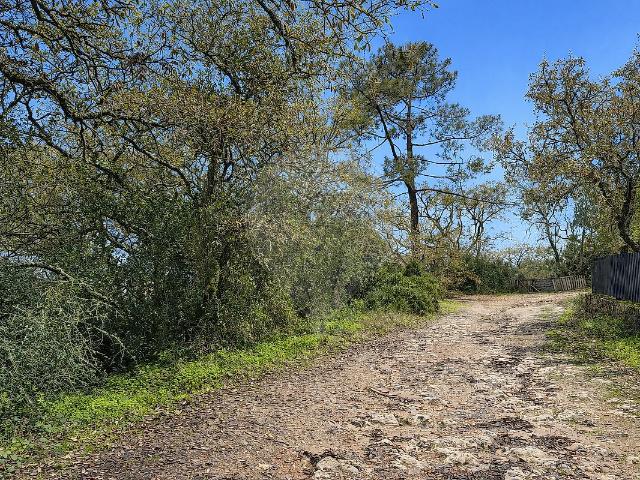 Terreno à venda em Venda do Pinheiro e Santo Estêvão das Galés, Mafra RE/MAX Portugal