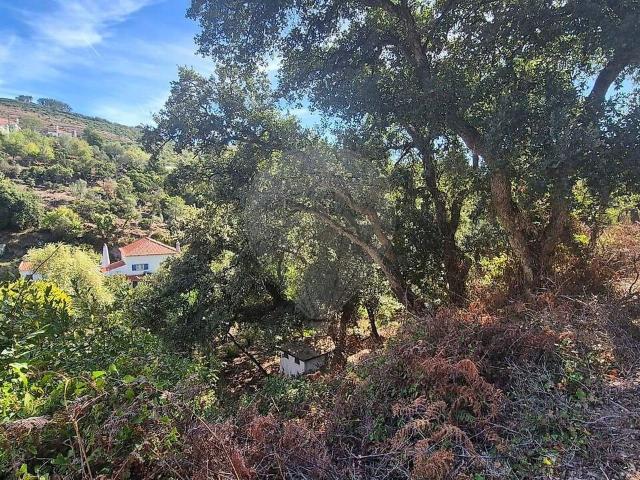 Terreno à venda em Venda do Pinheiro e Santo Estêvão das Galés, Mafra RE/MAX Portugal