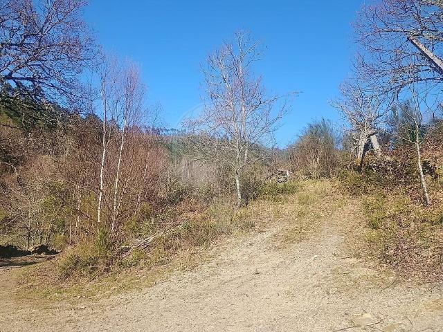 Terreno à venda em Venda Nova e Pondras, Montalegre RE/MAX Portugal