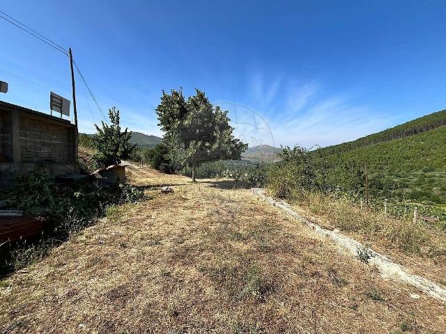 Terreno à venda em Verdelhos, Covilhã RE/MAX Portugal