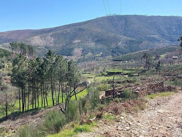 Terreno à venda em Verdelhos, Covilhã RE/MAX Portugal
