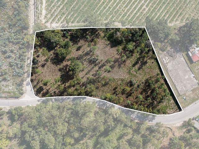 Terreno à venda em Verim, Friande e Ajude, Póvoa de Lanhoso RE/MAX Portugal