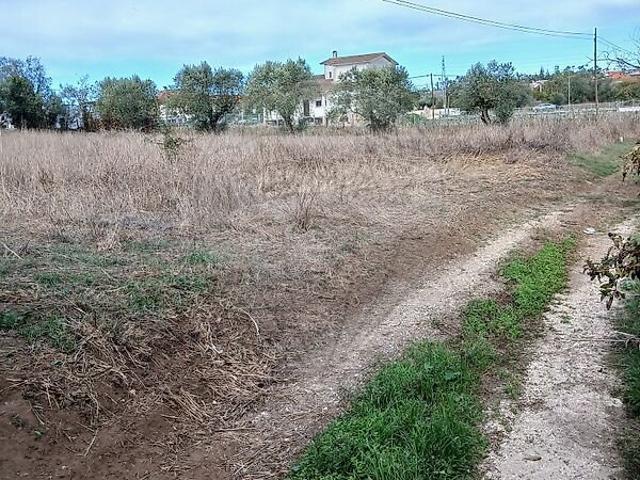 Terreno à venda em Vermoil, Pombal RE/MAX Portugal