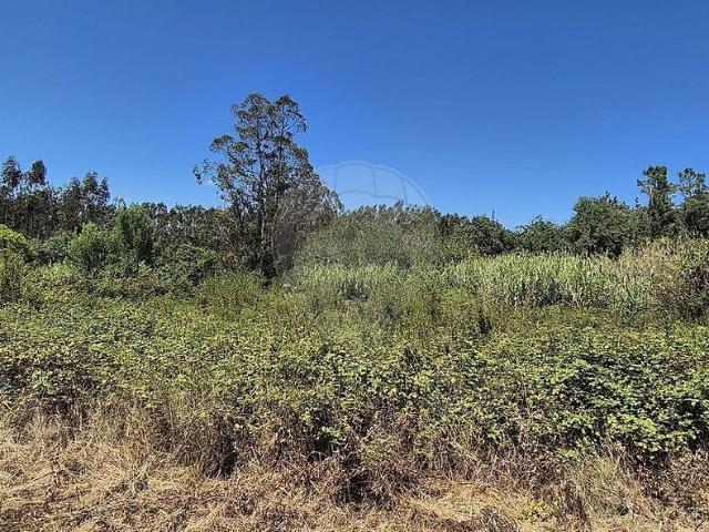 Terreno à venda em Vermoil, Pombal RE/MAX Portugal