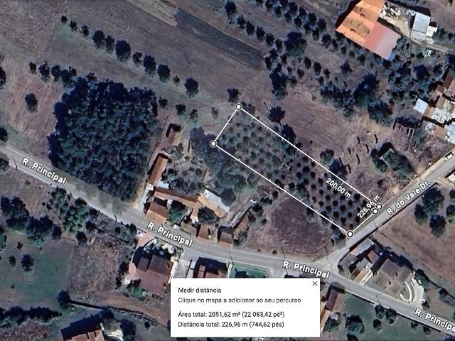 Terreno à venda em Vermoil, Pombal RE/MAX Portugal
