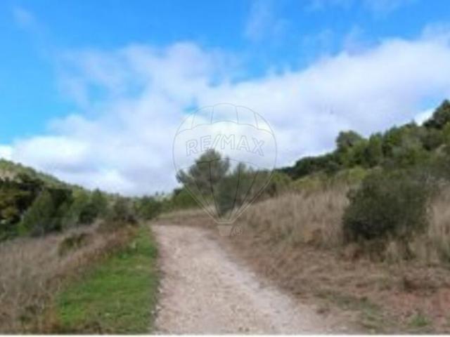 Terreno à venda em Vialonga, Vila Franca de Xira RE/MAX Portugal