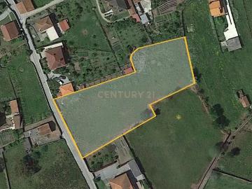 Terreno à Venda em Viana do Castelo 4510m² por 190.000€