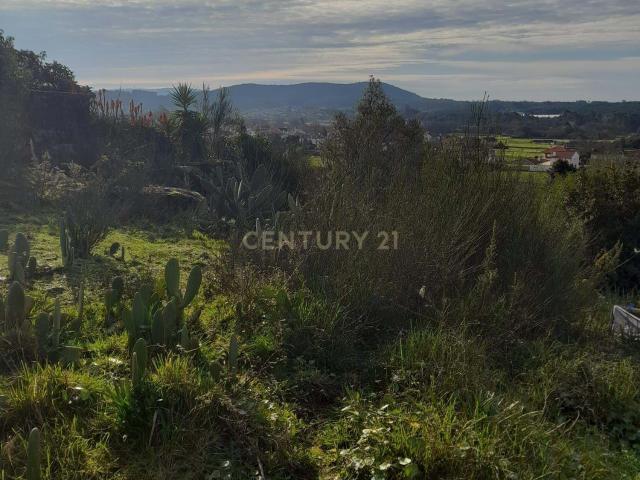 Terreno à Venda em Viana do Castelo 2420m² por 50.000€