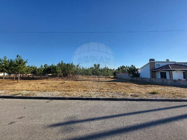 Terreno à venda em Vieira de Leiria, Marinha Grande RE/MAX Portugal