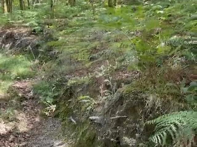 Terreno à venda em Vieira do Minho, Vieira do Minho RE/MAX Portugal