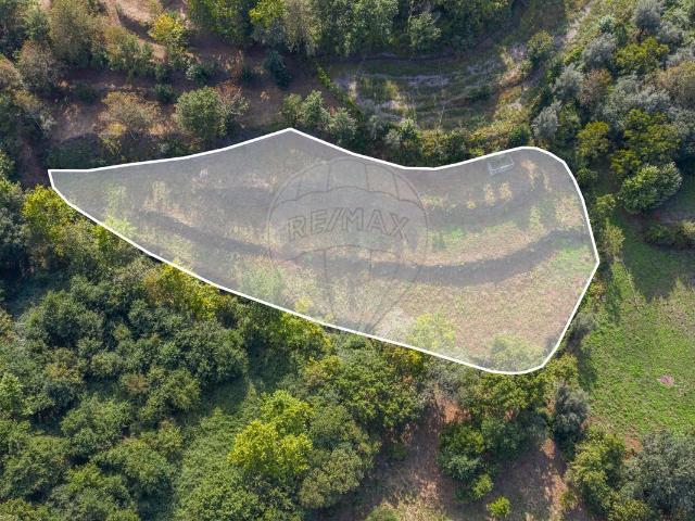 Terreno à venda em Vieira do Minho