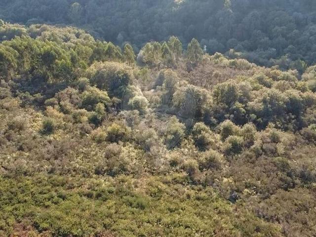 Terreno à venda em Vila Verde