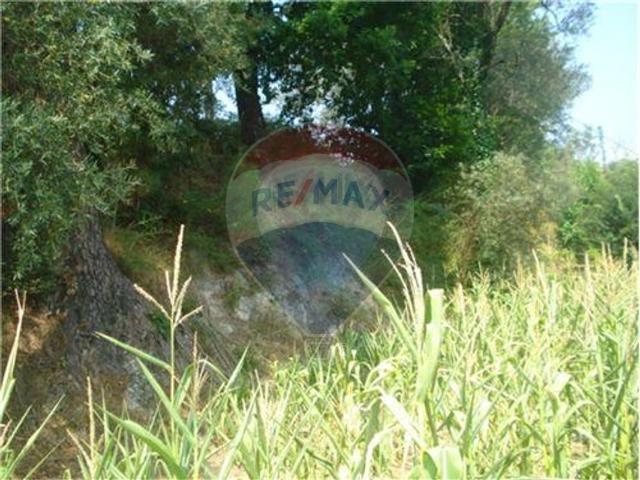 Terreno à venda em Vade, Vila Verde RE/MAX Portugal