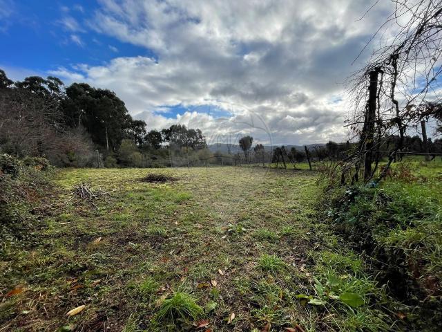 Terreno à venda em Vila Verde