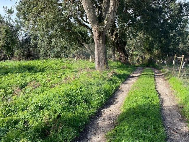 Terreno à venda em Vila Verde, Figueira da Foz RE/MAX Portugal