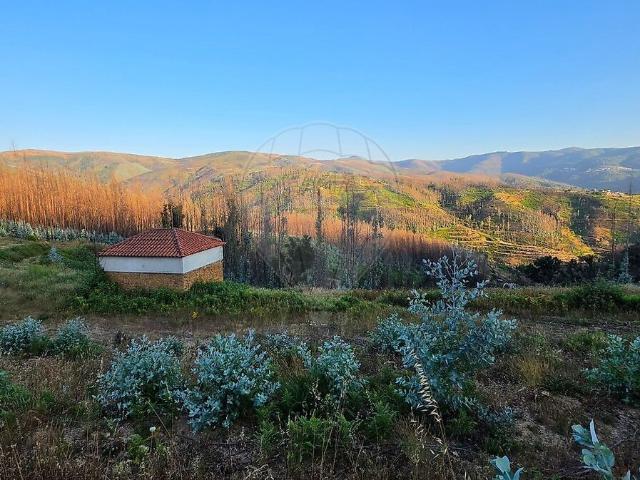 Terreno à venda em Vila Cova de Alva e Anceriz, Arganil RE/MAX Portugal