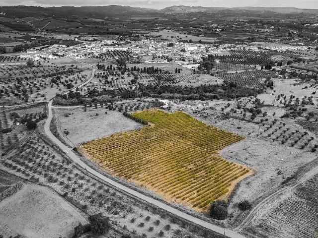 Terreno à venda em Vila de Frades, Vidigueira RE/MAX Portugal