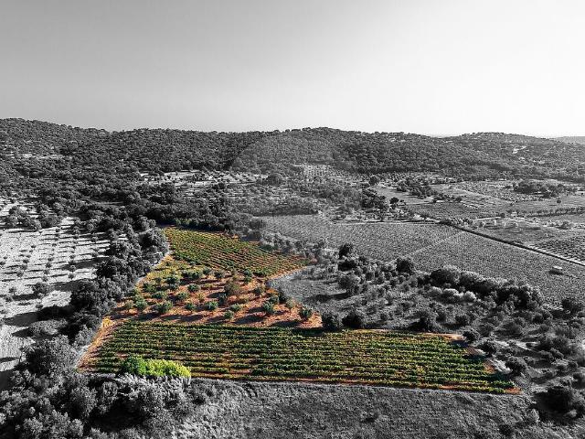Terreno à venda em Vila de Frades, Vidigueira RE/MAX Portugal