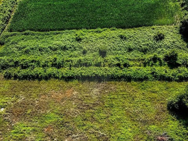Terreno à venda em Vila de Punhe, Viana do Castelo RE/MAX Portugal
