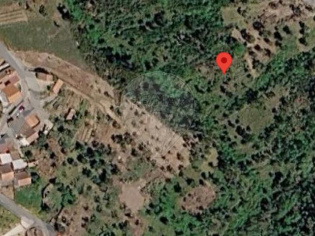 Terreno à venda em Vila de Rei, Vila de Rei RE/MAX Portugal