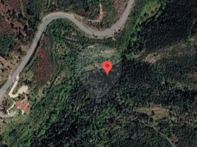 Terreno à venda em Vila de Rei, Vila de Rei RE/MAX Portugal
