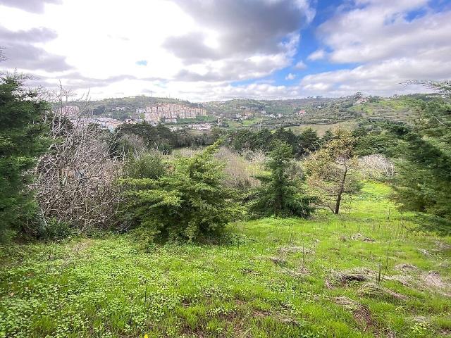 Terreno à venda em Vila Franca de Xira, Vila Franca de Xira RE/MAX Portugal