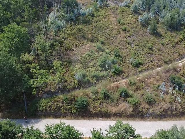 Terreno à venda em Vila Meã, Amarante RE/MAX Portugal