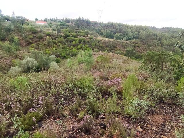 Terreno à venda em Vila Nova da Barquinha