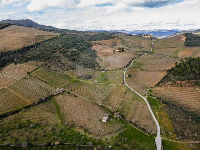 Terreno à venda em Vila Nova de Foz Côa