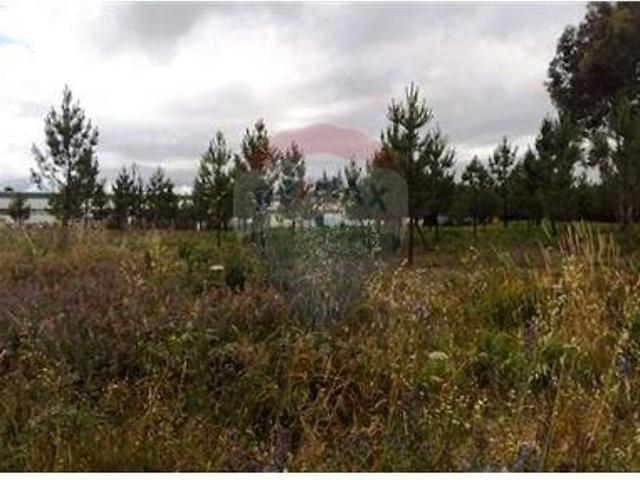 Terreno à venda em Vila Nova de Paiva, Alhais e Fráguas, Vila Nova de Paiva RE/MAX Portugal
