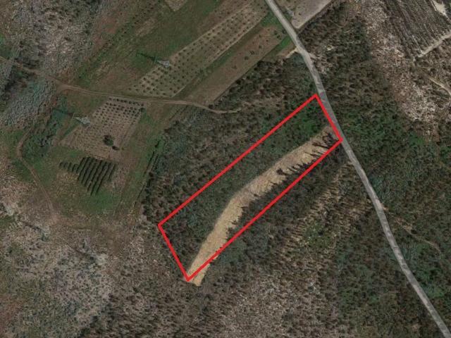 Terreno à venda em Vila Nova de Poiares