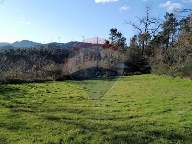 Terreno à venda em Vila Real