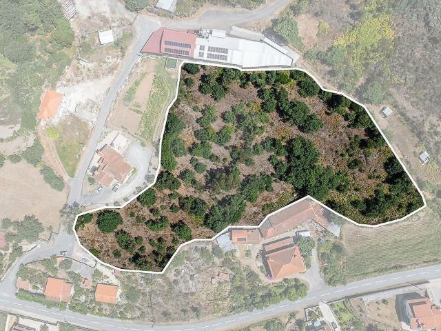 Terreno à venda em Vilar de Ferreiros, Mondim de Basto RE/MAX Portugal